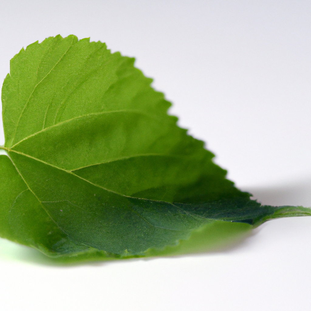 GreenLife Logo